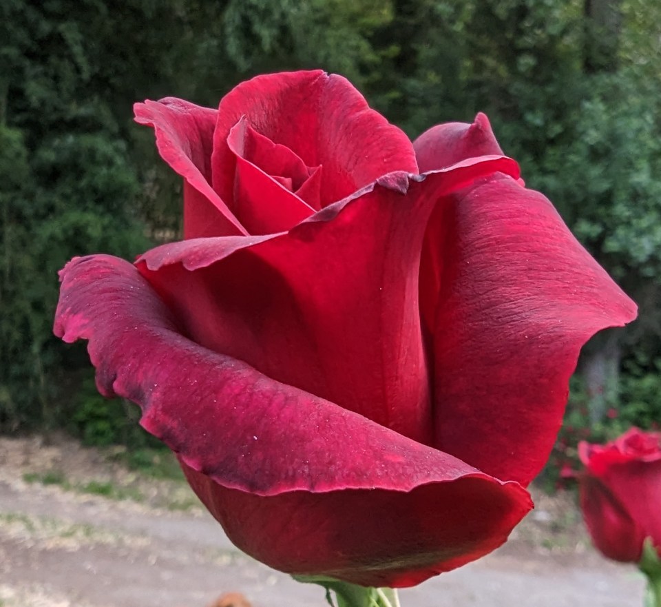 PXL_20230527_155152429~2