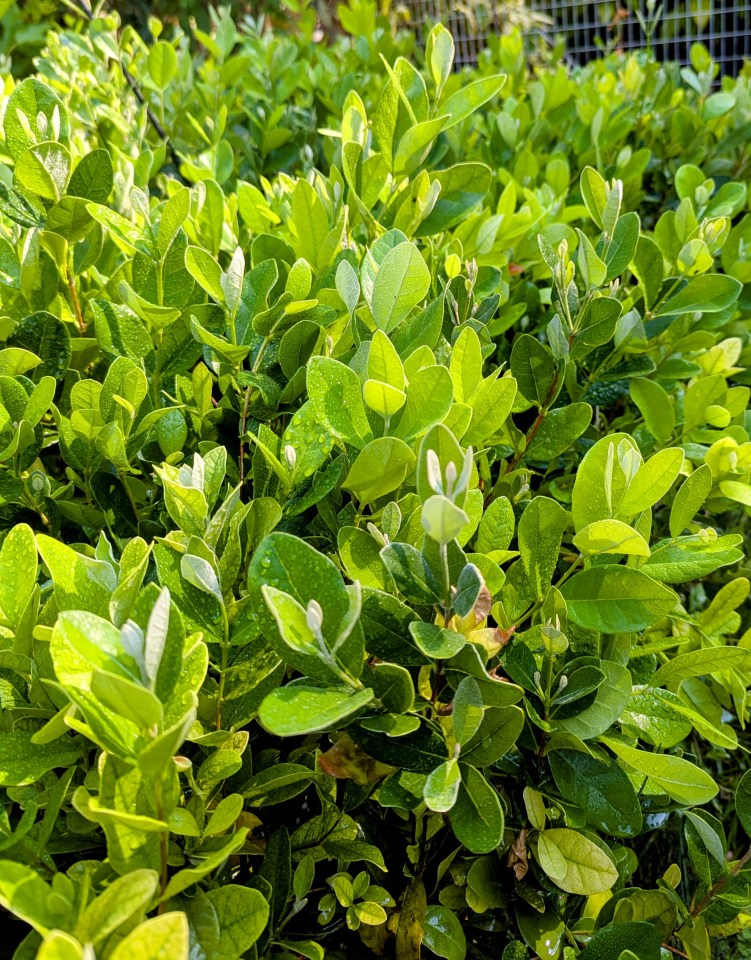 PXL_20250801_170150033~2